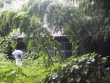 町田本家