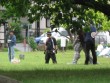 裏の公園で何か